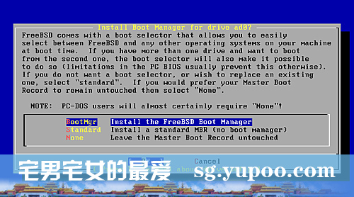 FreeBSD 7.0 图文安装教程第1/4页6