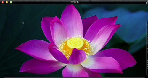 QuickTime Player怎么用 Mac版Quicktime player格式转换方法介绍5