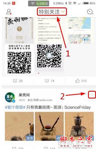 新浪微博手机端怎么取消特别关注 微博app取消特别关注教程1