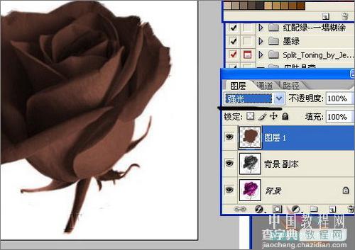 Photoshop制作诱人的巧克力玫瑰教程5