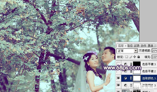 Photoshop制作古典青褐色效果的树林婚片23