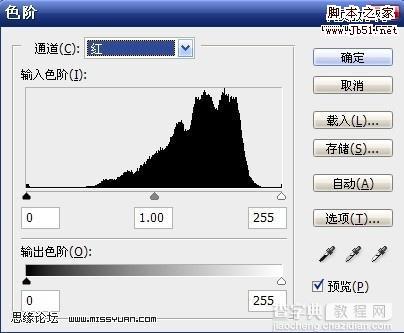 Photoshop 偏色照片美化及增加清晰度6