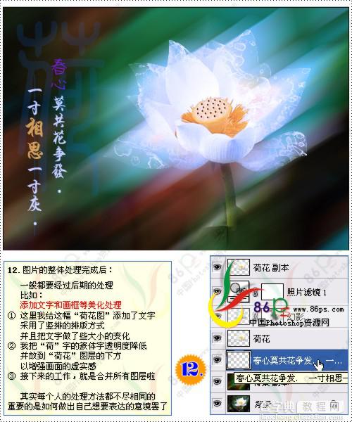 花卉照片处理 Photoshop照片处理教程14