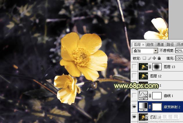 Photoshop将花朵图片调成强对比的暗黄色19