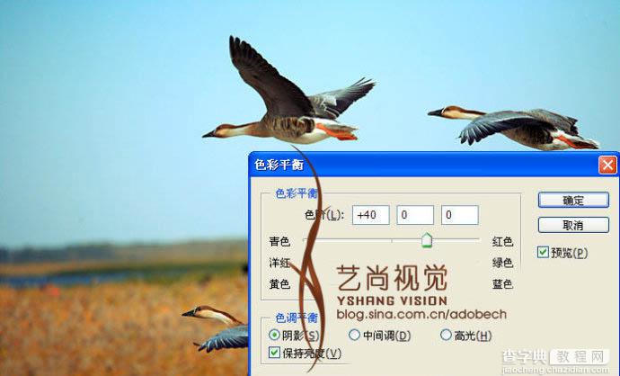 Photoshop 漂亮的青红色大雁起飞图5