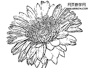 Photoshop 滤镜将彩色图片转变为黑白线描画15