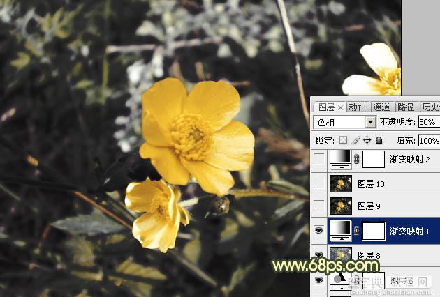 Photoshop将花朵图片调成强对比的暗黄色15