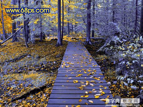 Photoshop打造冷暖对比的蓝黄色森林照片19