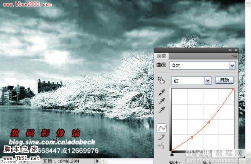 photoshop 树外景照片添加雪景般的梦幻效果7