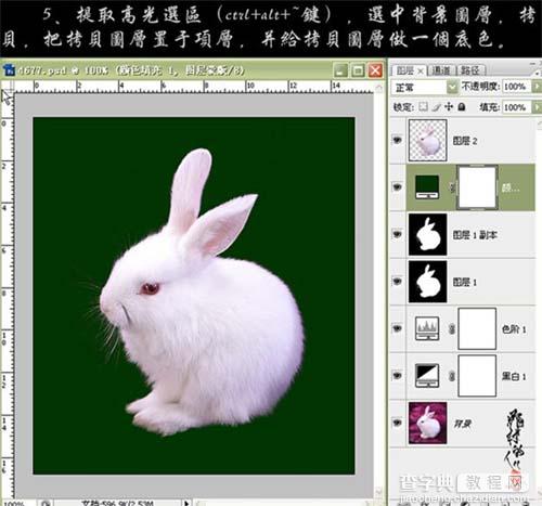 photoshop CS3黑白命令抠出小白兔8