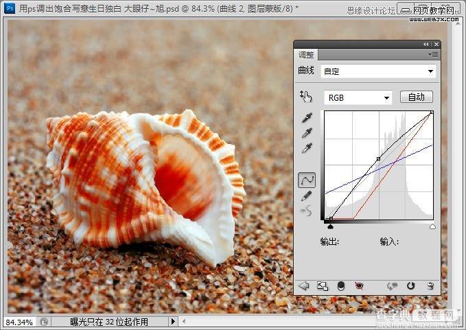 Photoshop制作出低调的沙滩海螺图片的写意效果教程12