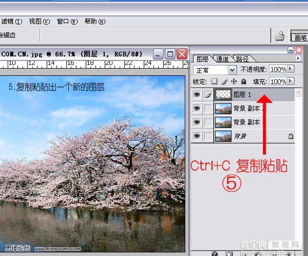 Photoshop教程:制作梦幻风景照片5
