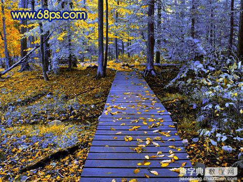 Photoshop打造冷暖对比的蓝黄色森林照片29