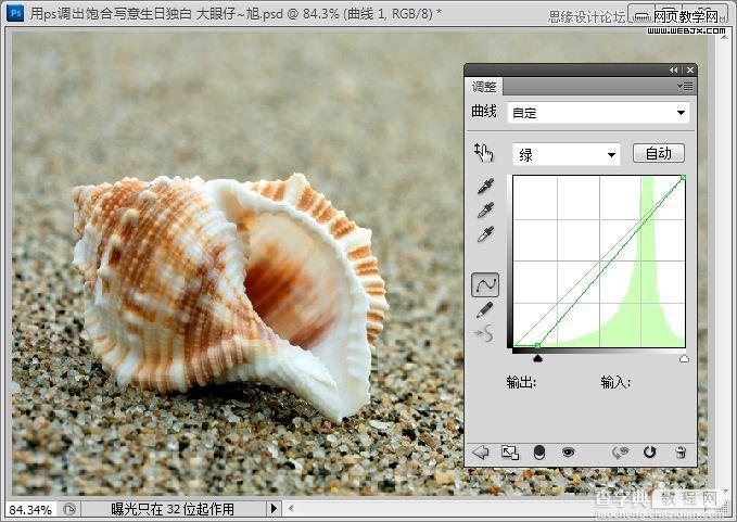 Photoshop制作出低调的沙滩海螺图片的写意效果教程5