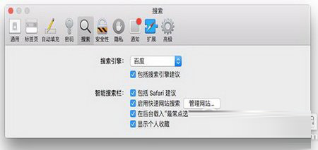 safari地址栏设为百度搜索后无法搜索怎么办 safari地址栏无法搜索的解决办法3