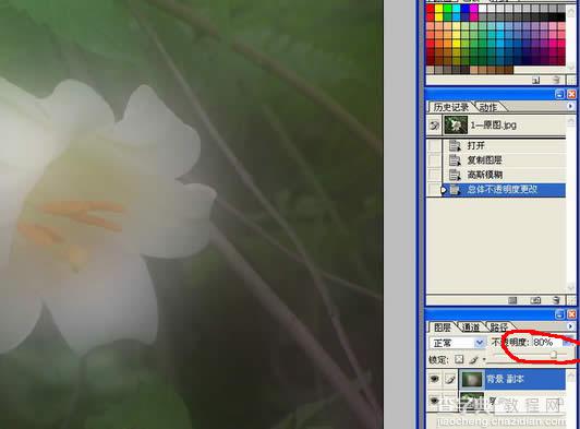 Photoshop教程:滤镜花卉照片的主体6