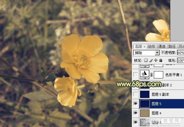 Photoshop将花朵图片调成强对比的暗黄色6