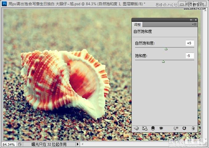 Photoshop制作出低调的沙滩海螺图片的写意效果教程16