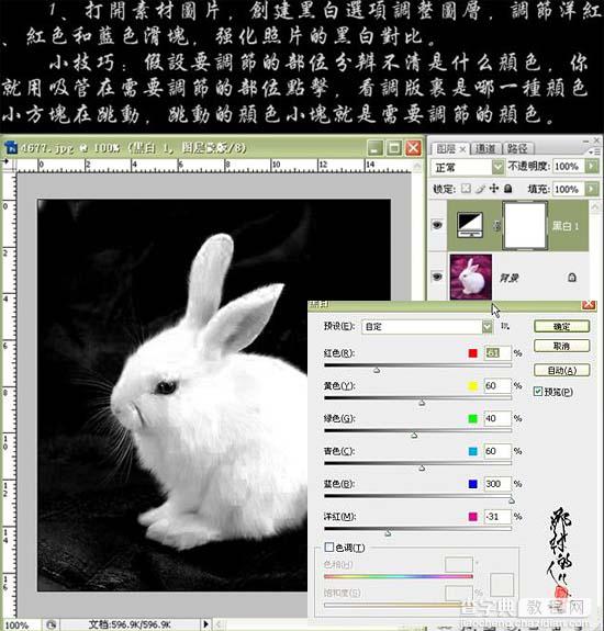 photoshop CS3黑白命令抠出小白兔4