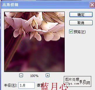 Photoshop将绿色的花朵调成漂亮的紫色调16