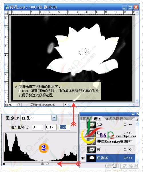 花卉照片处理 Photoshop照片处理教程4