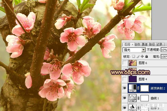 Photoshop调出桃花图片漂亮的粉红色14