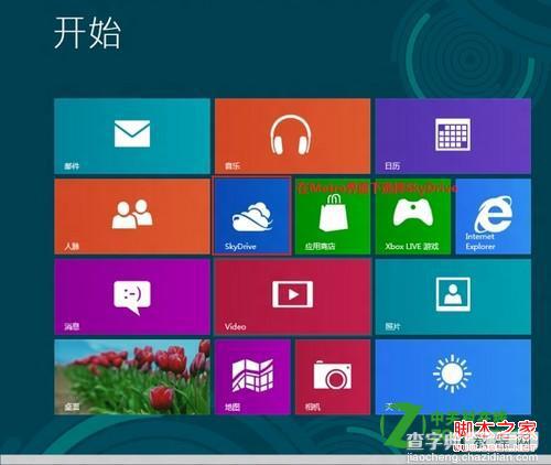 win8中的SkyDriver是什么及其使用介绍1