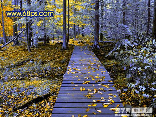 Photoshop打造冷暖对比的蓝黄色森林照片24