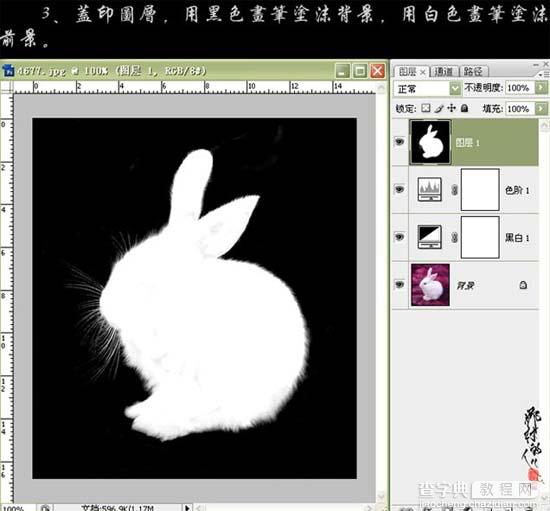 photoshop CS3黑白命令抠出小白兔6