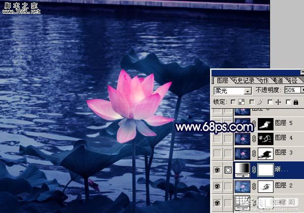 Photoshop 紫色荷花17