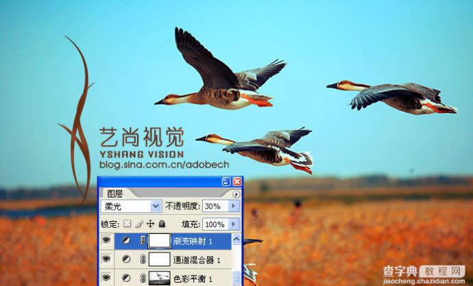 Photoshop 漂亮的青红色大雁起飞图10