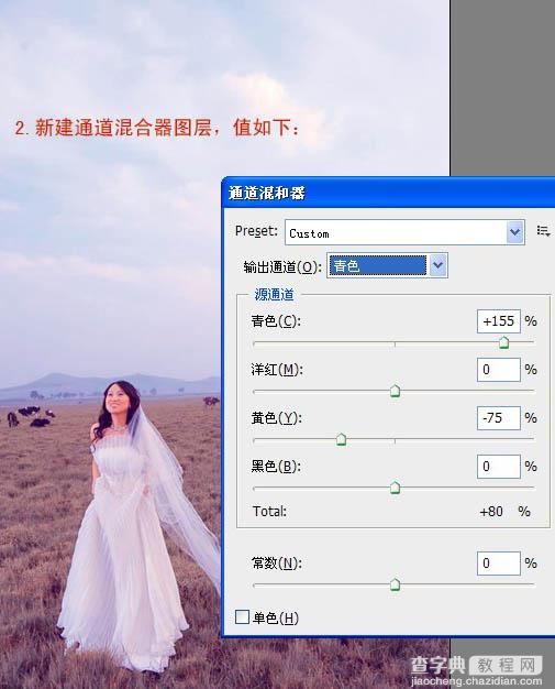 Photoshop 清晰开阔的蓝紫色草原婚片3