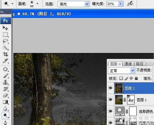 Photoshop 照片的朦胧艺术色彩12