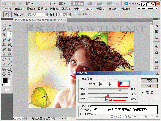 PS入门教程:用色彩平衡命令调整图片色彩的制作方法7