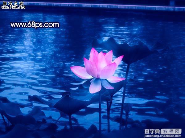 Photoshop 紫色荷花21