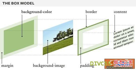 CSS margin属性介绍与用法(附margin解剖图)1