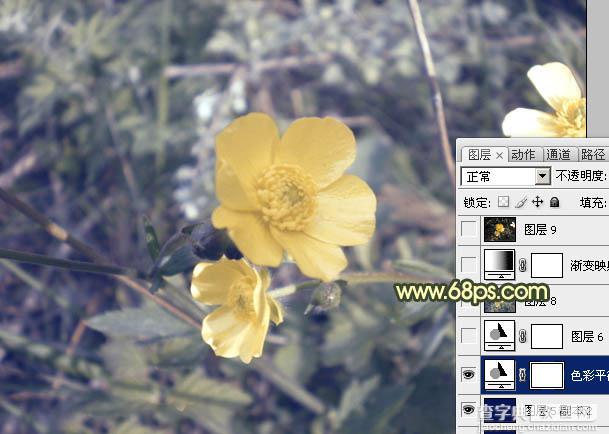Photoshop将花朵图片调成强对比的暗黄色11