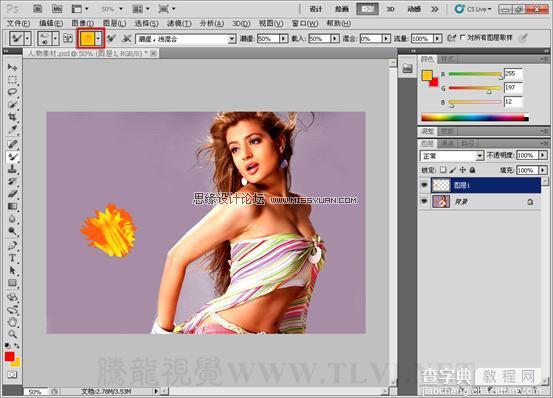 photoshop CS5混合器画笔工具为美女模特添加金色丝带9