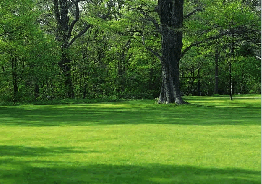 photoshop将春天风光照片变成金黄色的秋天景色1