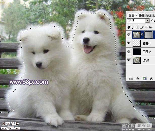 Photoshop 抽出滤镜抠出白色的小狗8