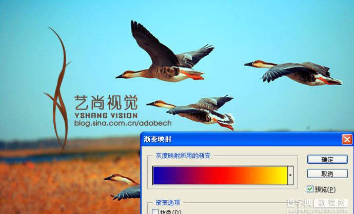 Photoshop 漂亮的青红色大雁起飞图9