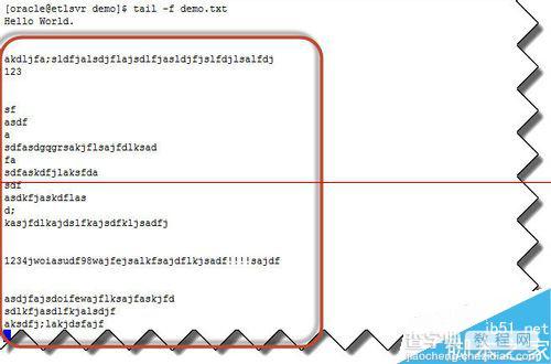 linux 系统怎么用命令行动态显示文件内容？6