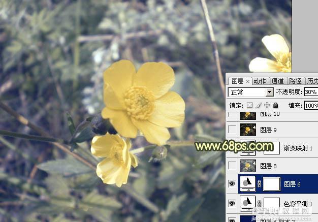 Photoshop将花朵图片调成强对比的暗黄色12