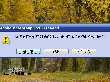 Photoshop为平淡的秋天树林调成红色的效果6