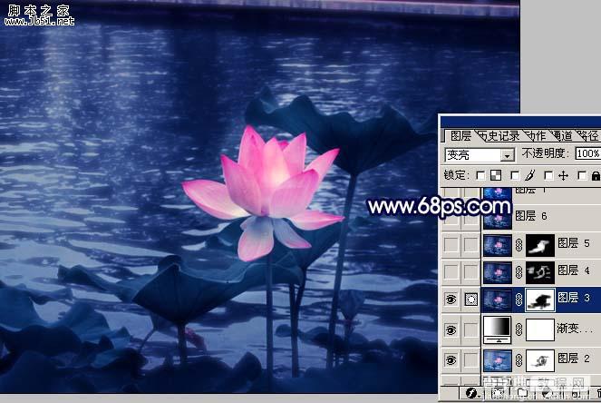 Photoshop 紫色荷花18