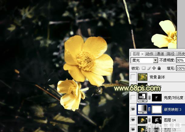 Photoshop将花朵图片调成强对比的暗黄色29
