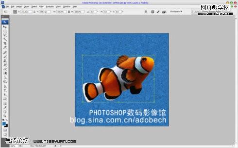 photoshop 深海中也有金鱼梦幻效果9