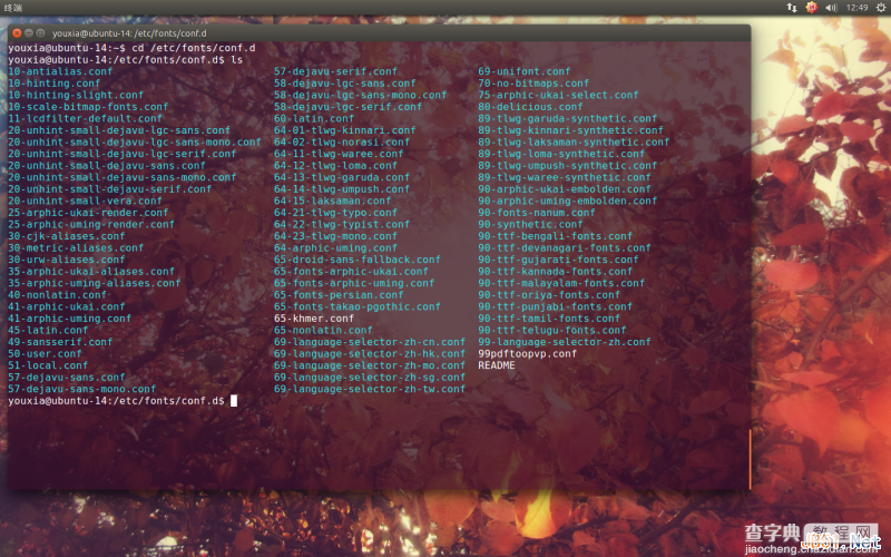 Linux折腾记（五）：在Ubuntu 14.10中使用Windows字体3