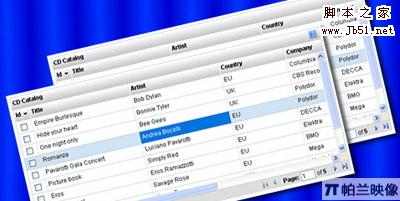 整理了12款Javascript 表格控件(DataGrid)7