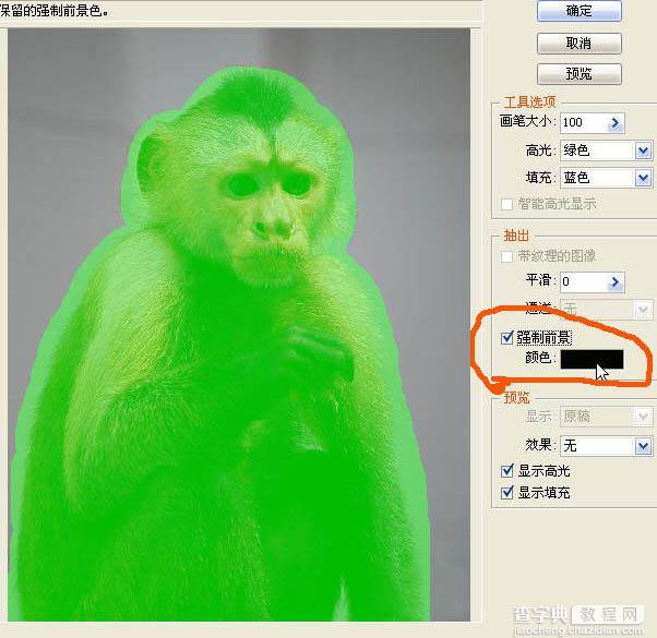 photoshop一图多解找出抠取毛发的最佳方法10